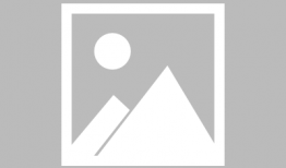 无女主动漫,探索独立女性的魅力与成长