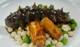 海参做法视频,跟随视频学习美味海参制作过程